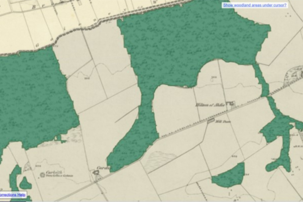 Woodland in Scotland (1840s-1880s)